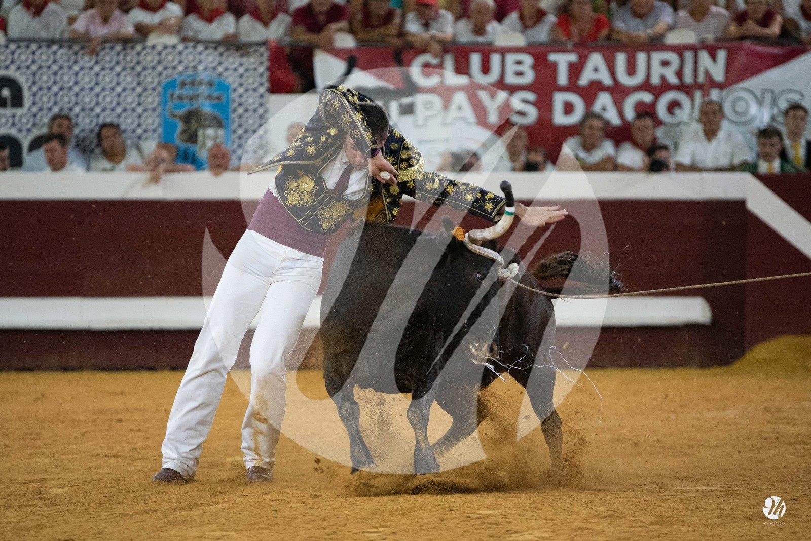 dsc_5694.jpg