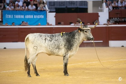 dsc_9668.jpg