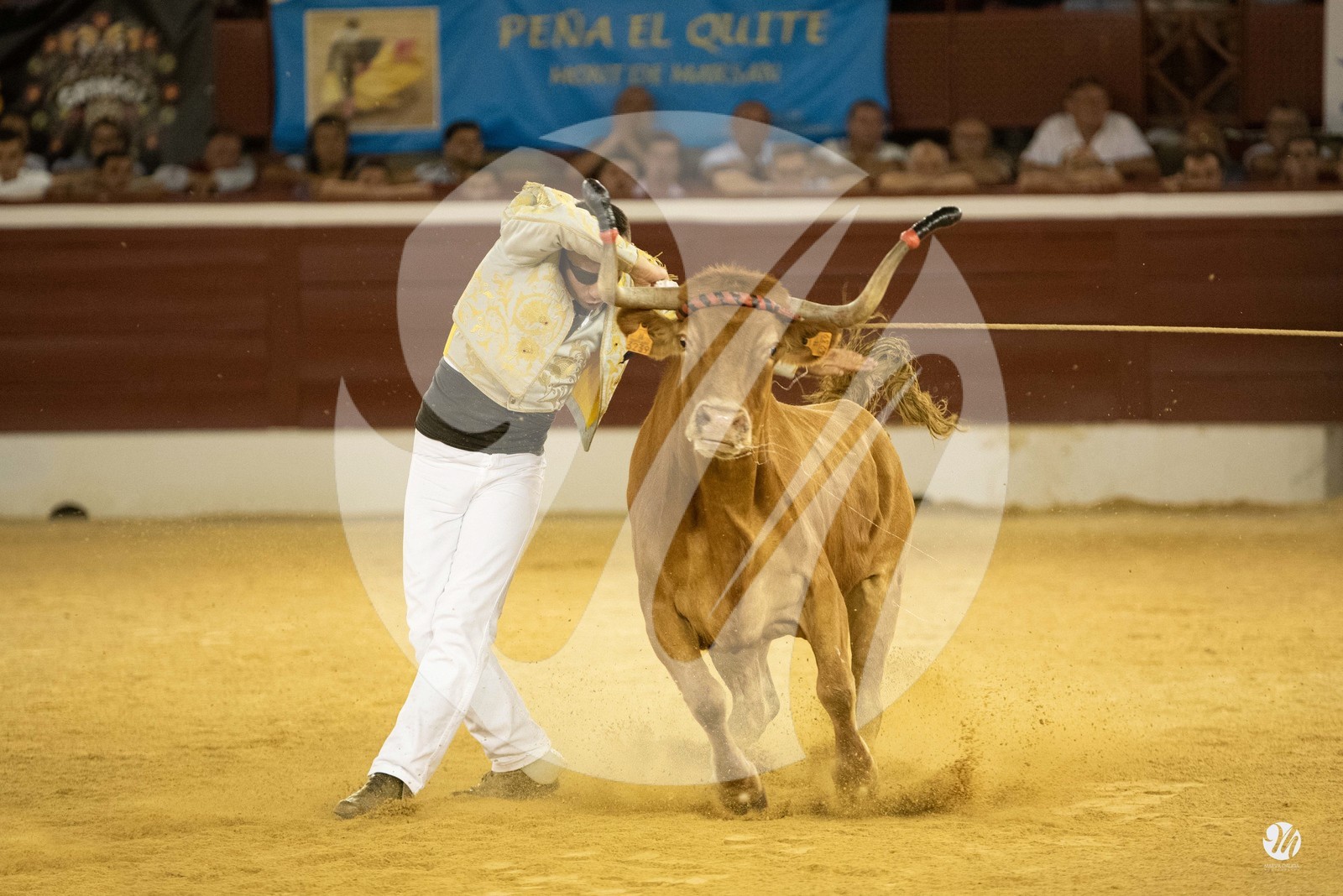 dsc_0164.jpg