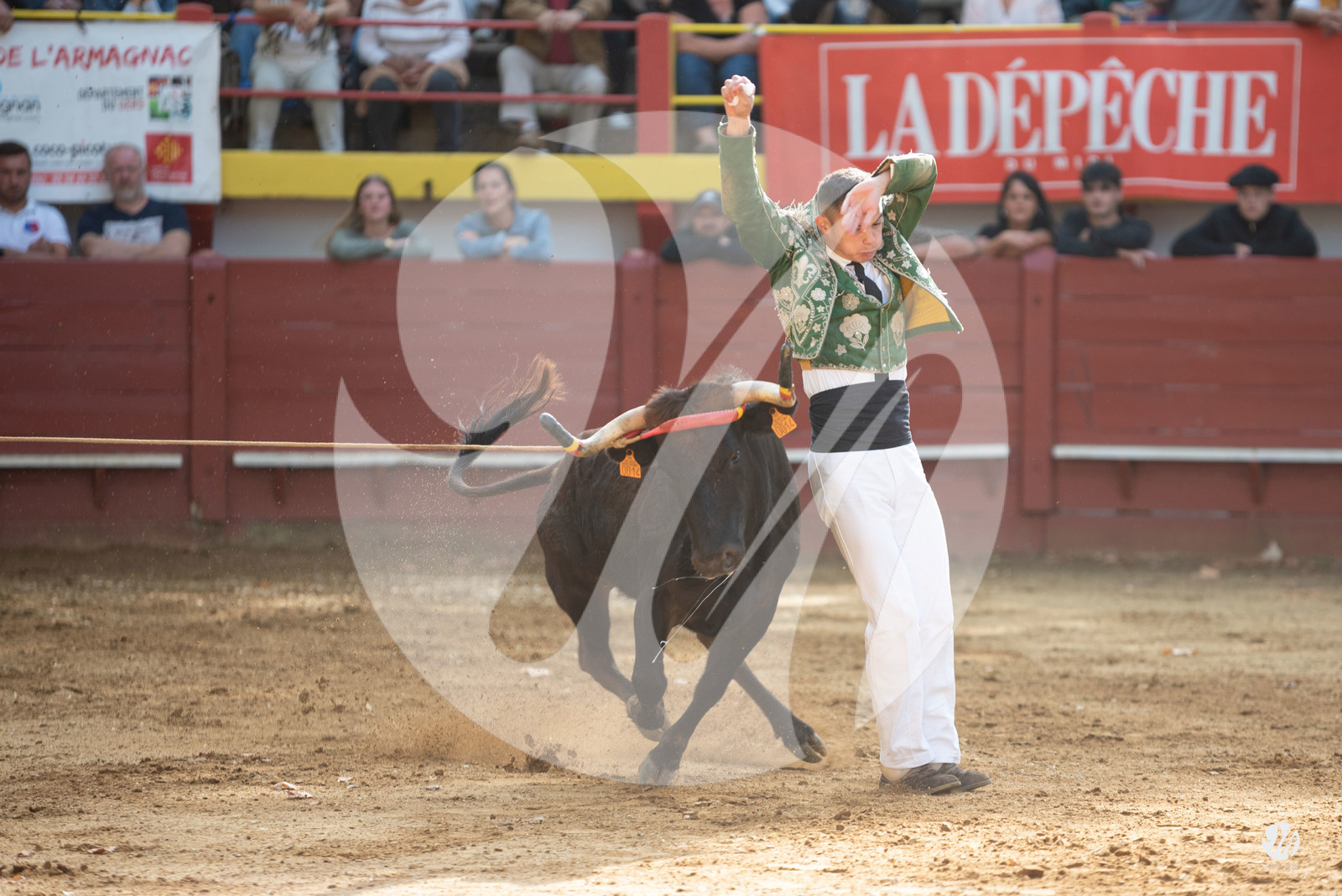 dsc_3163.jpg