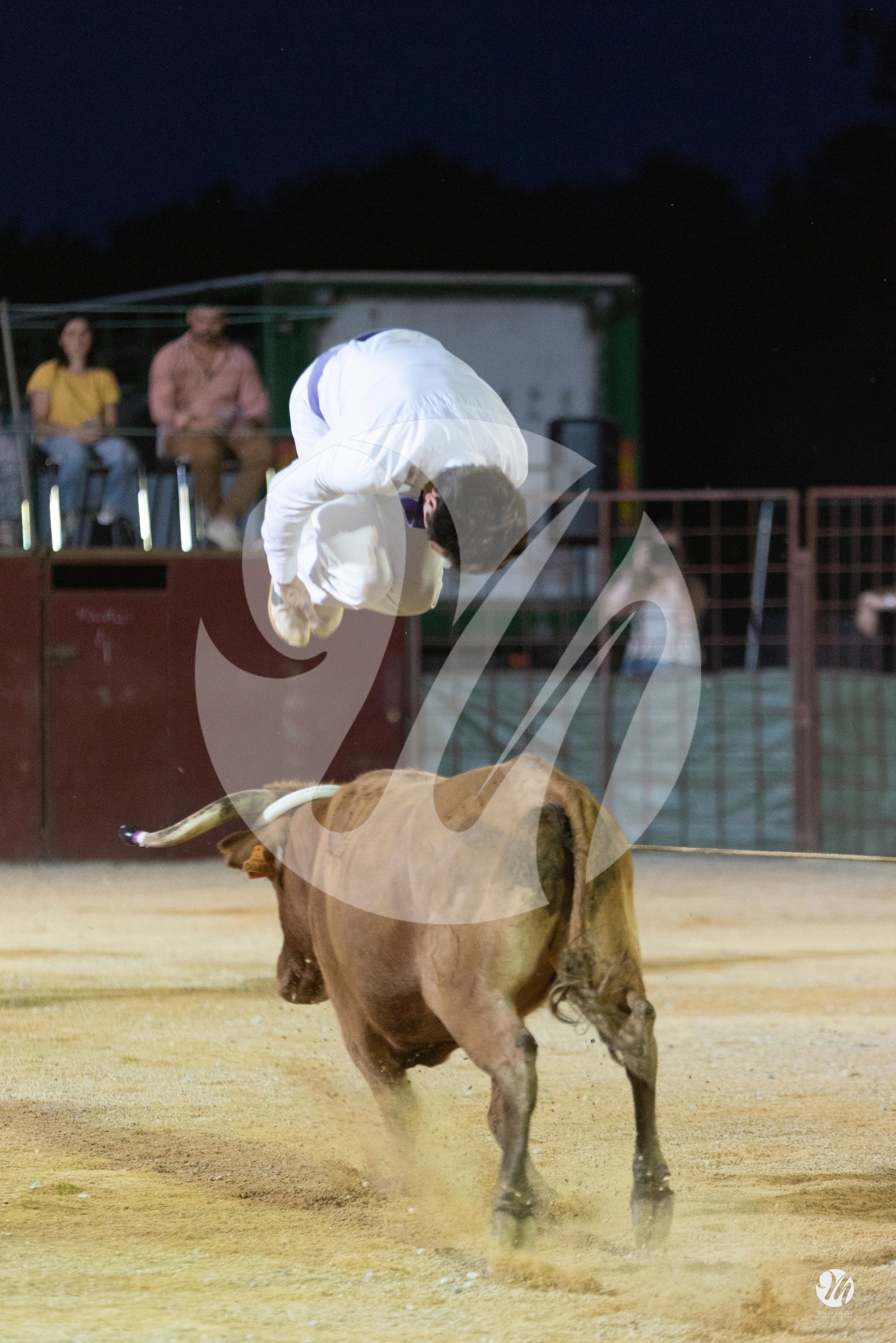dsc_7409.jpg
