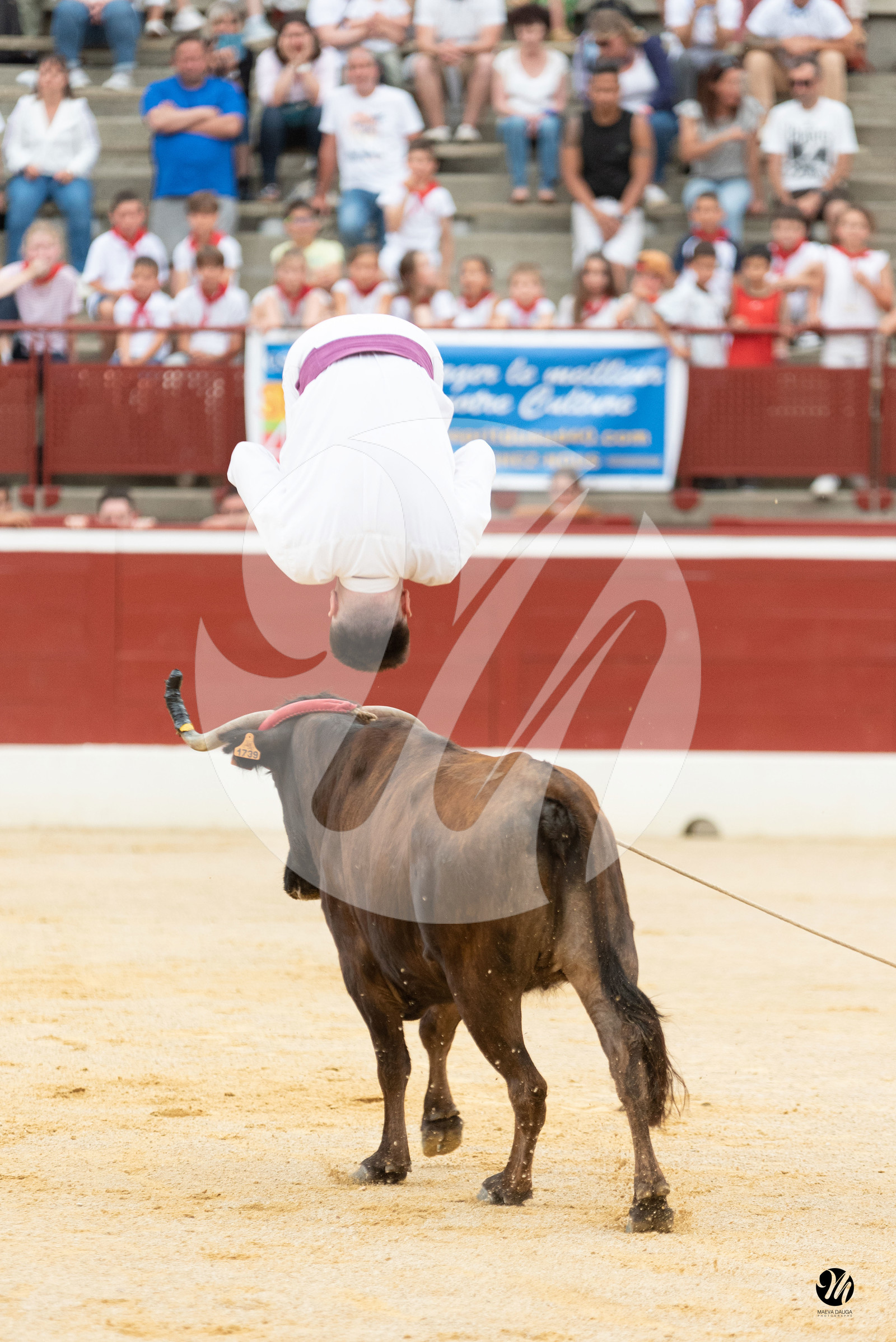 dsc_0791.jpg