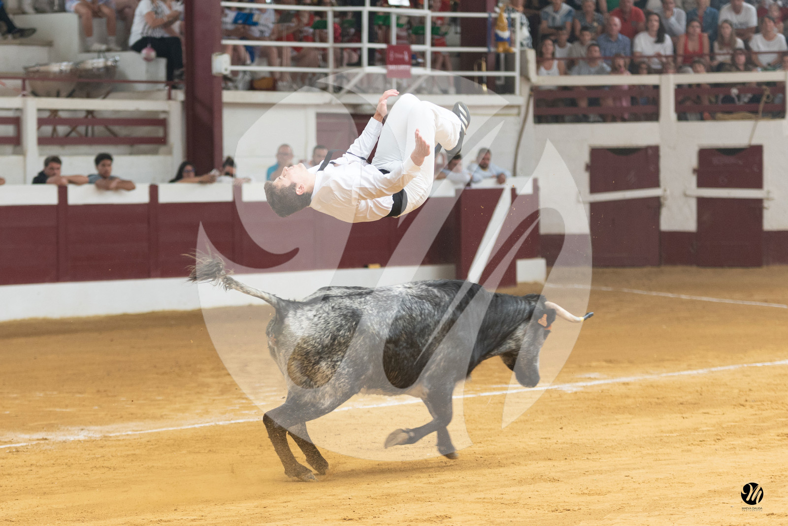 dsc_8751.jpg