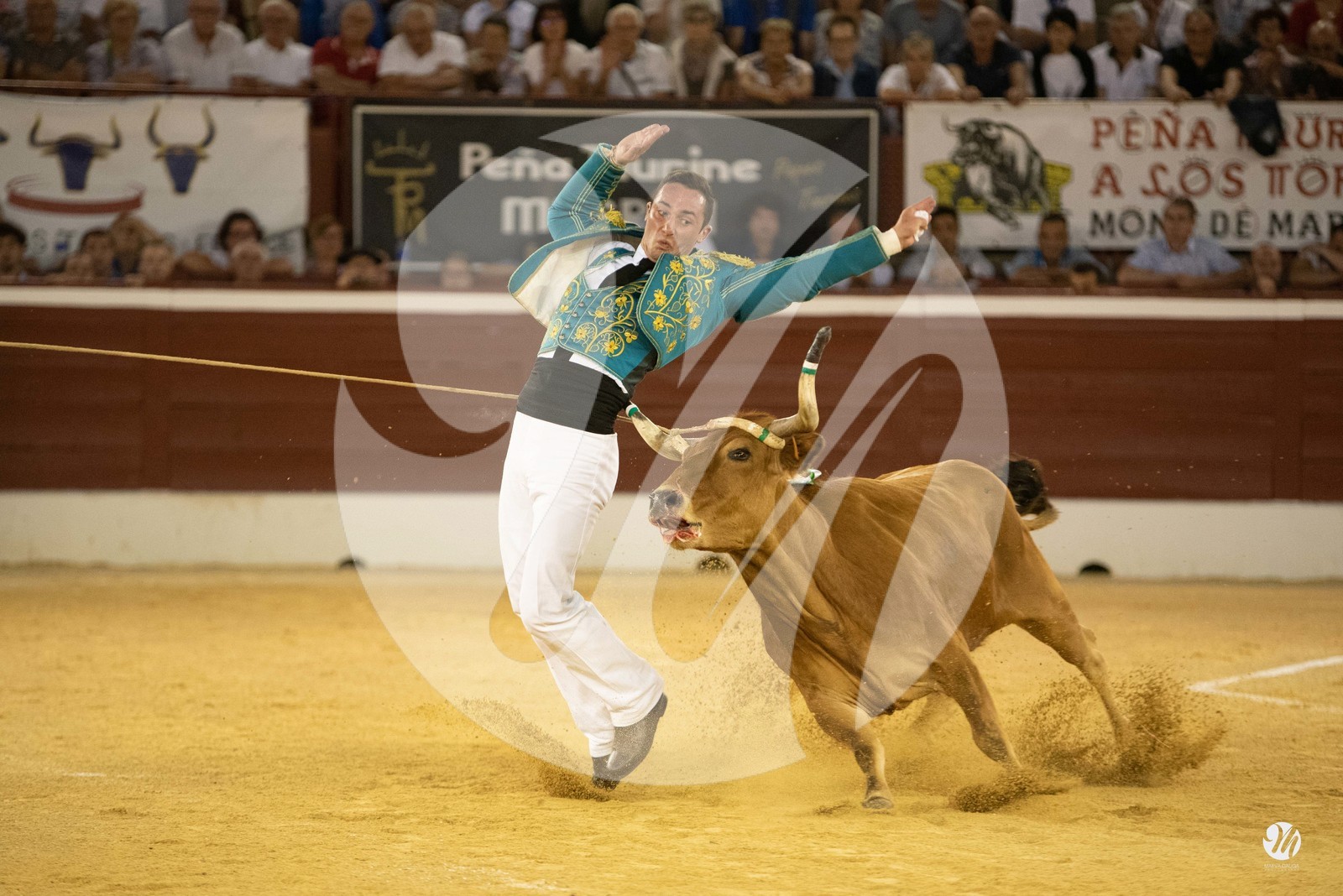 dsc_9762.jpg