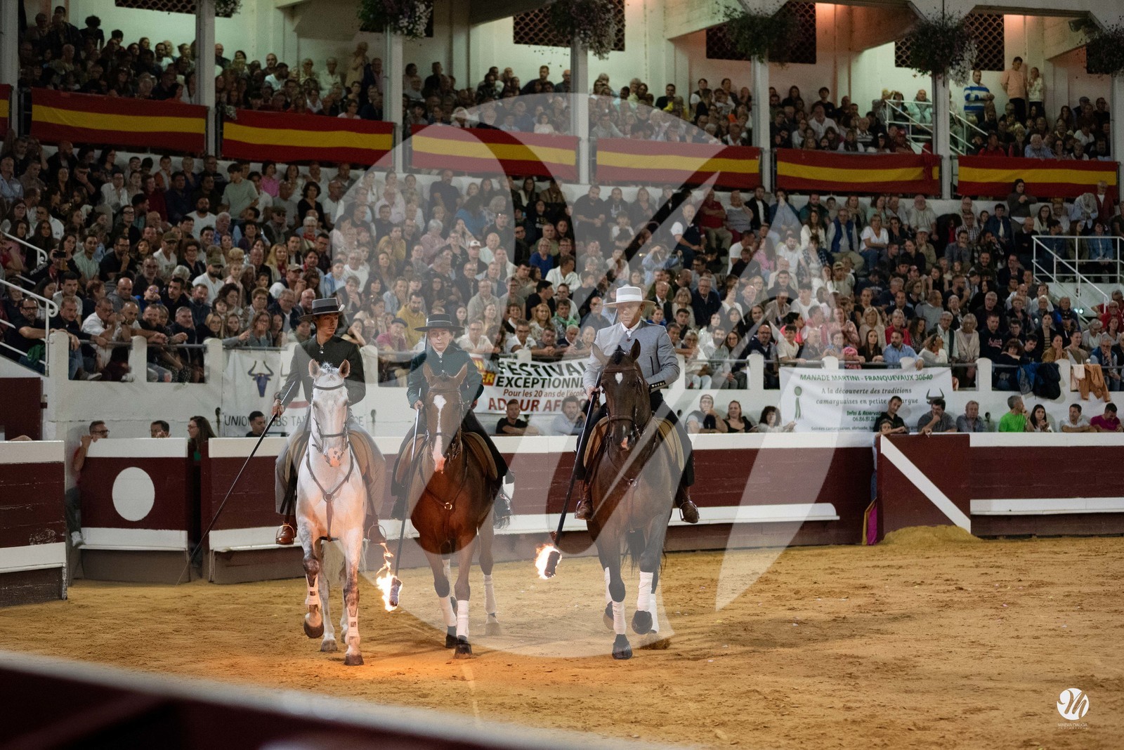 dsc_2607.jpg