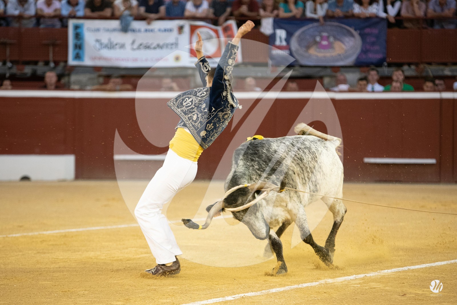 dsc_9658.jpg