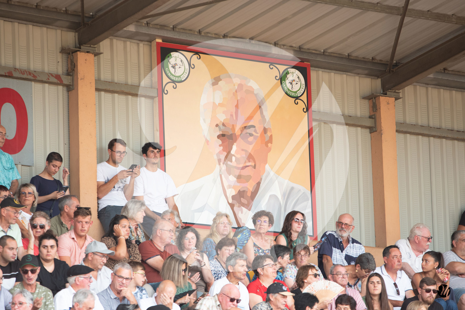 dsc_8126.jpg