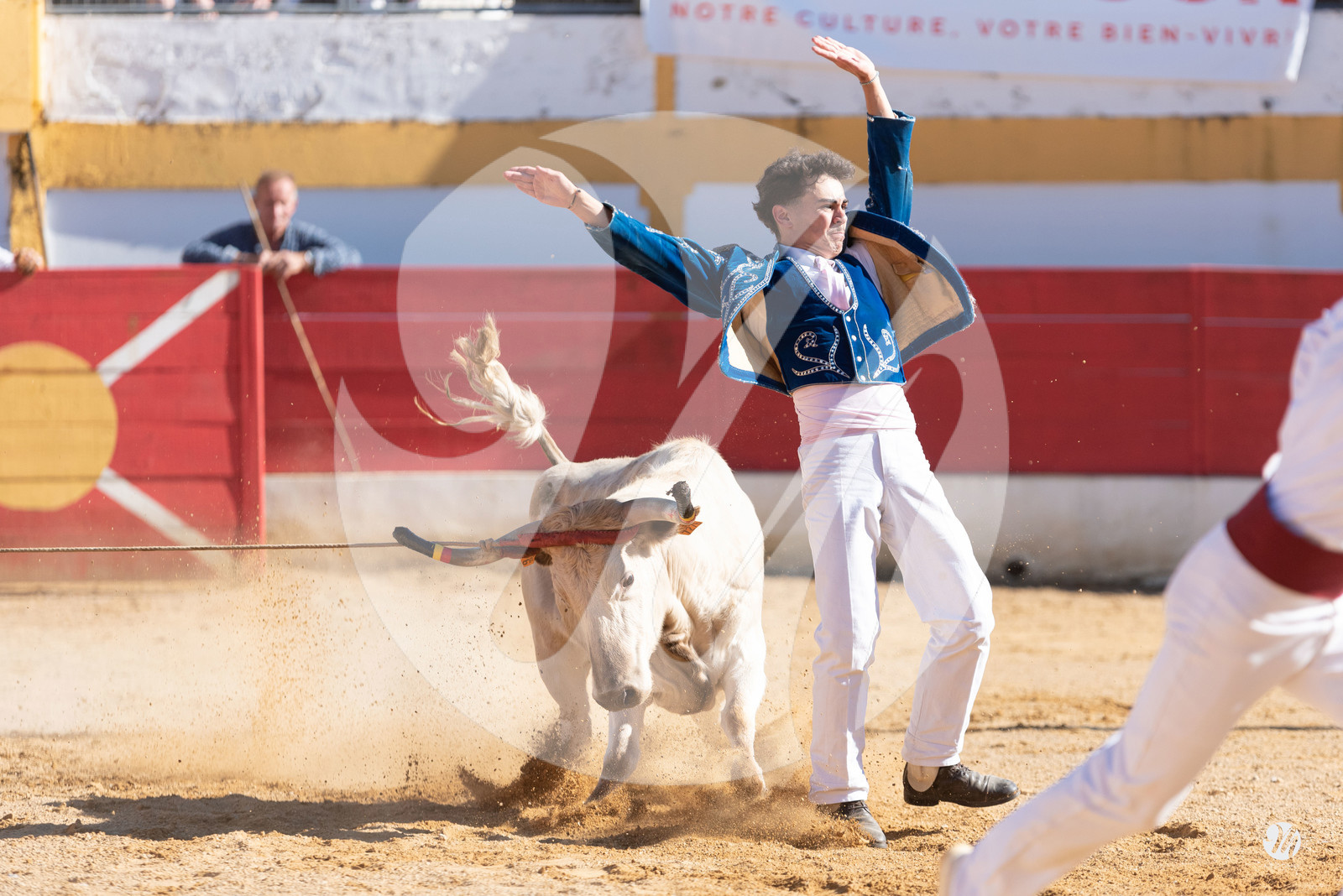 dsc_6664.jpg