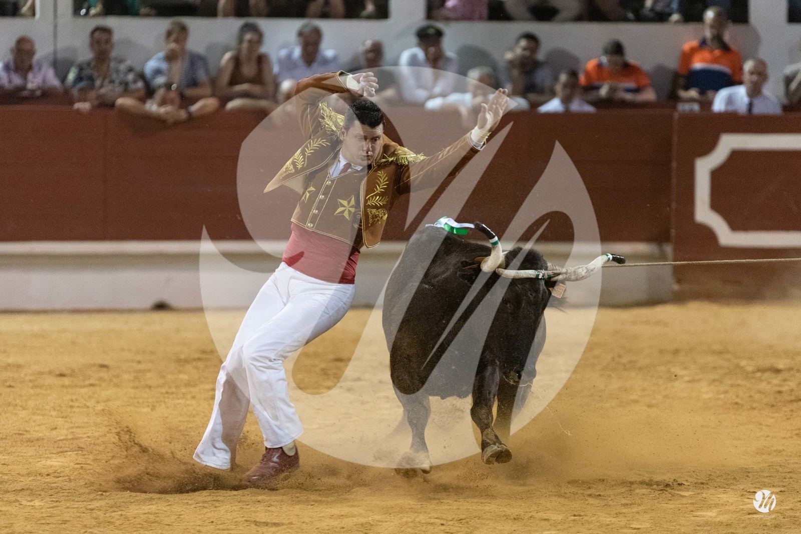 dsc_3064.jpg