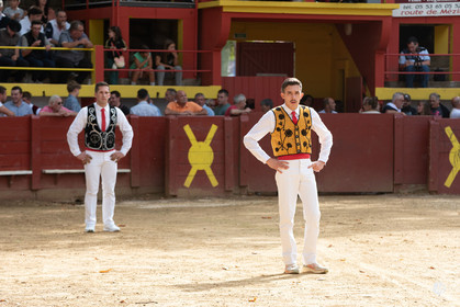 dsc_2785.jpg