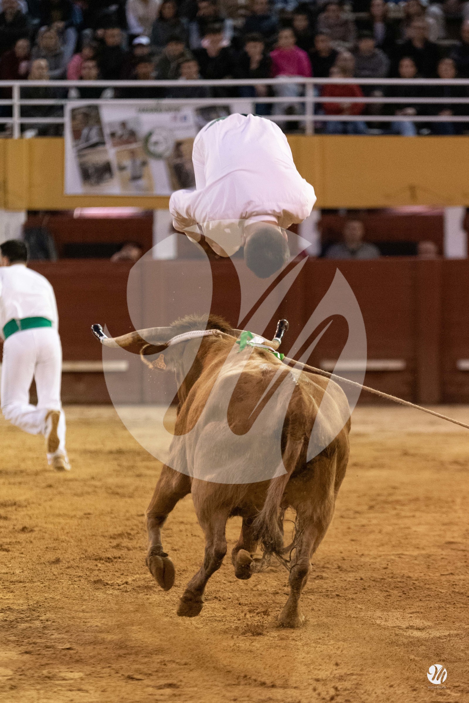 dsc_0034.jpg