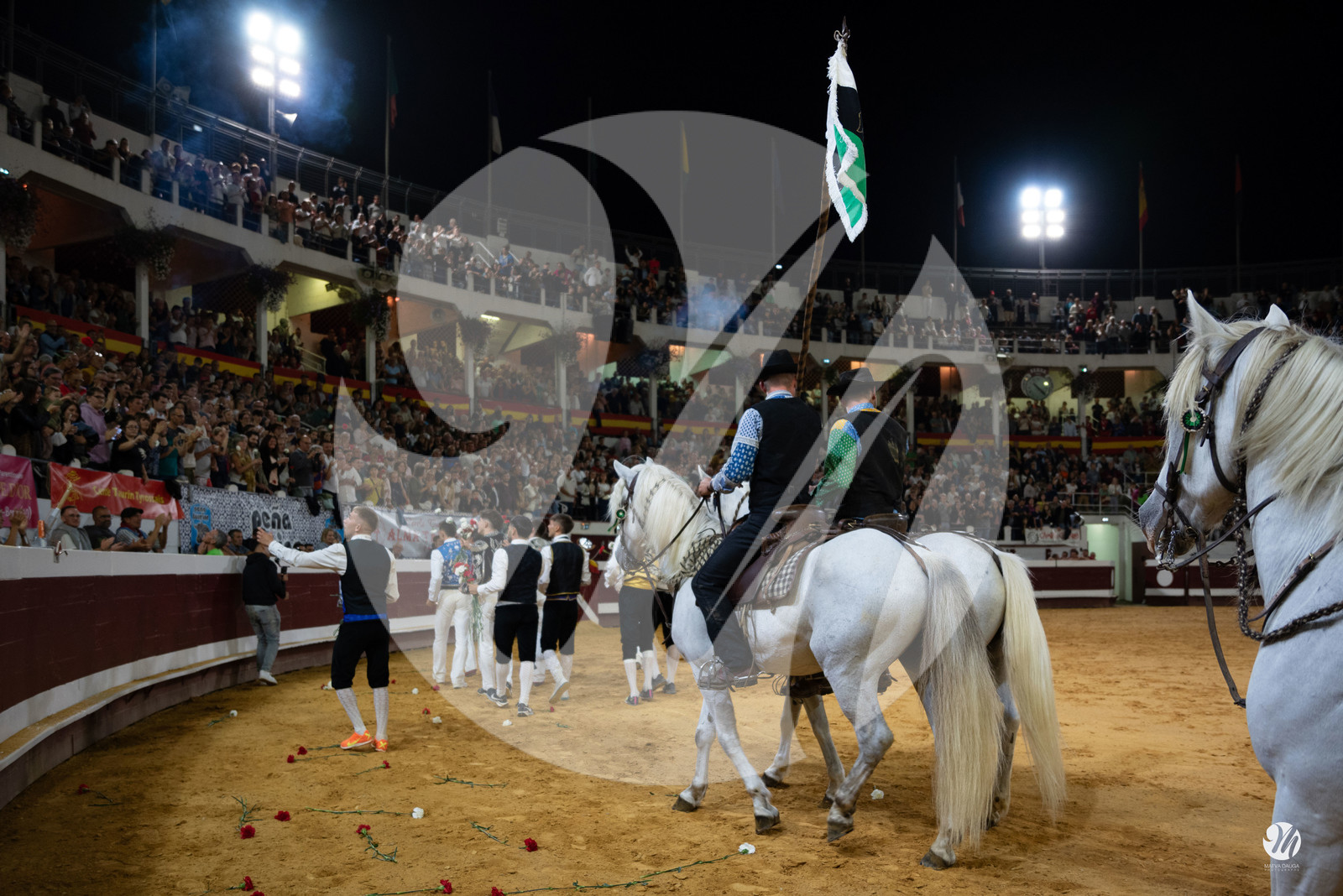 dsc_1462.jpg