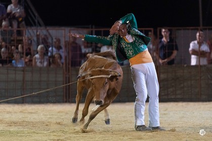 dsc_7764.jpg