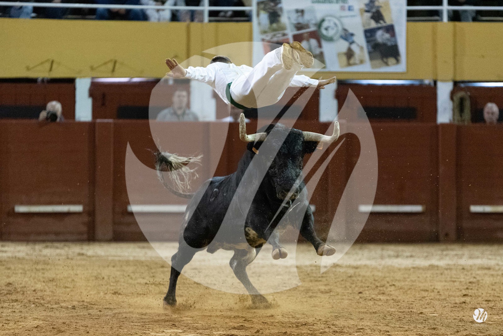 dsc_0466.jpg
