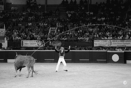 dsc_0136.jpg-nb.jpg