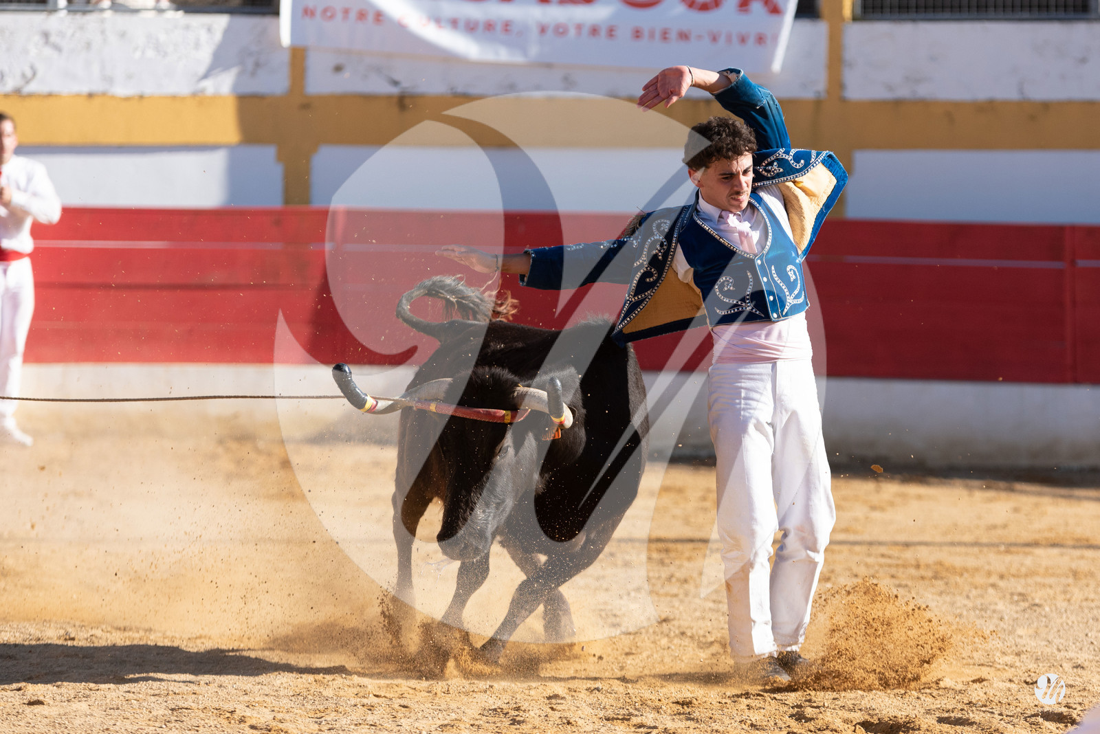 dsc_6884.jpg