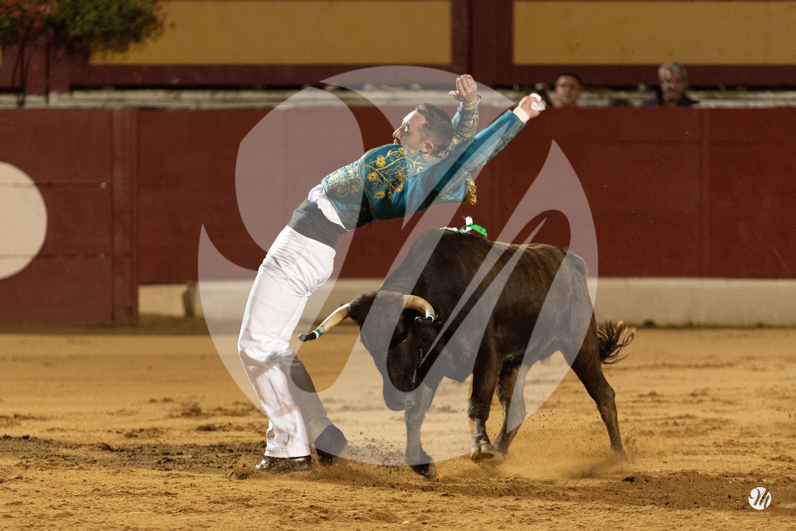 dsc_7282.jpg