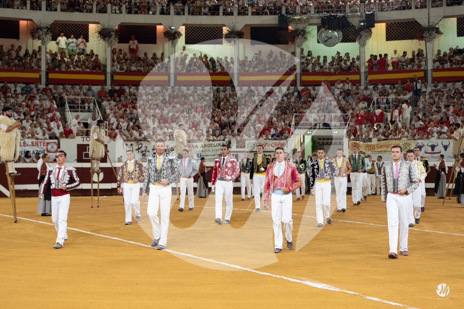 dsc_9464.jpg