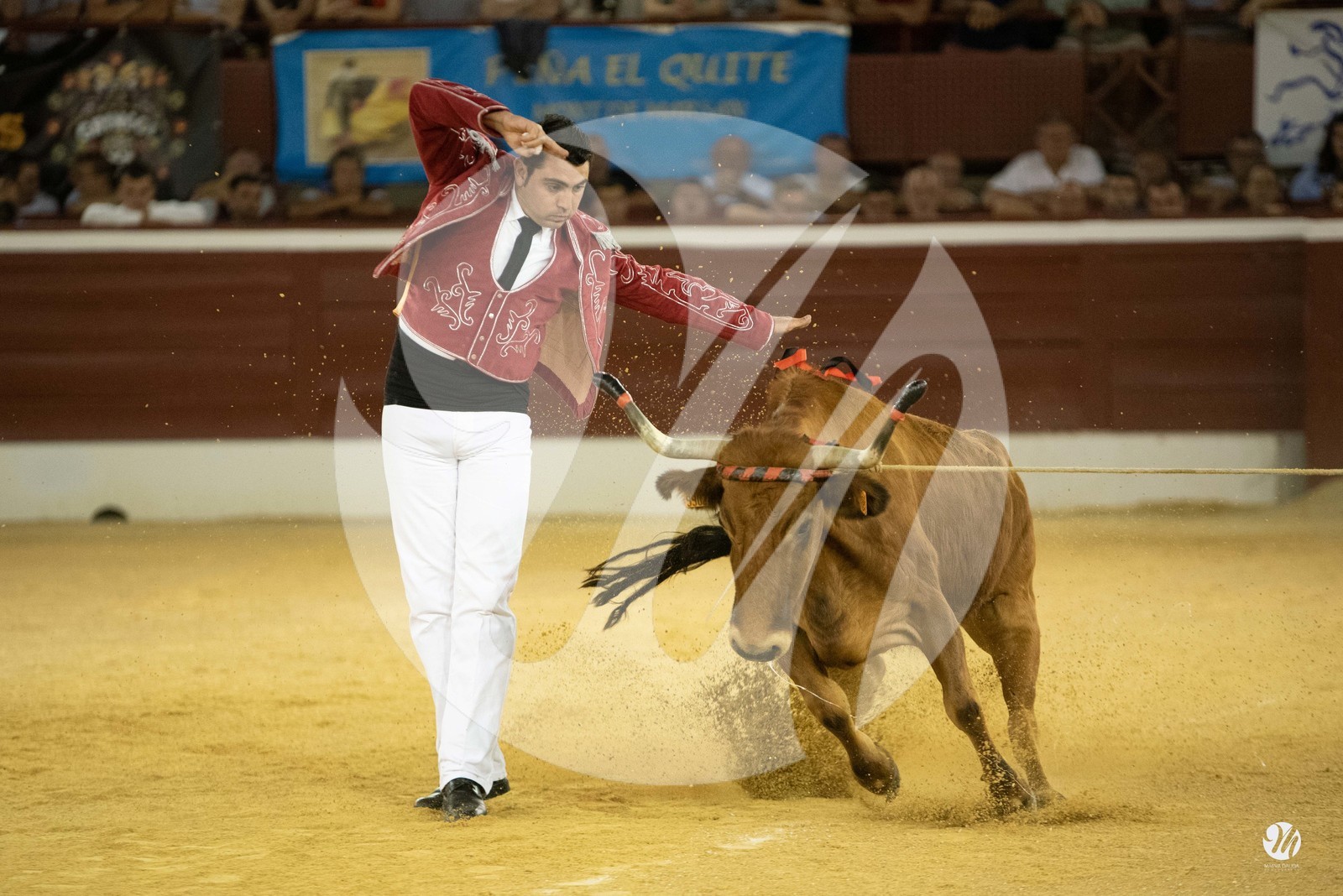 dsc_9822.jpg
