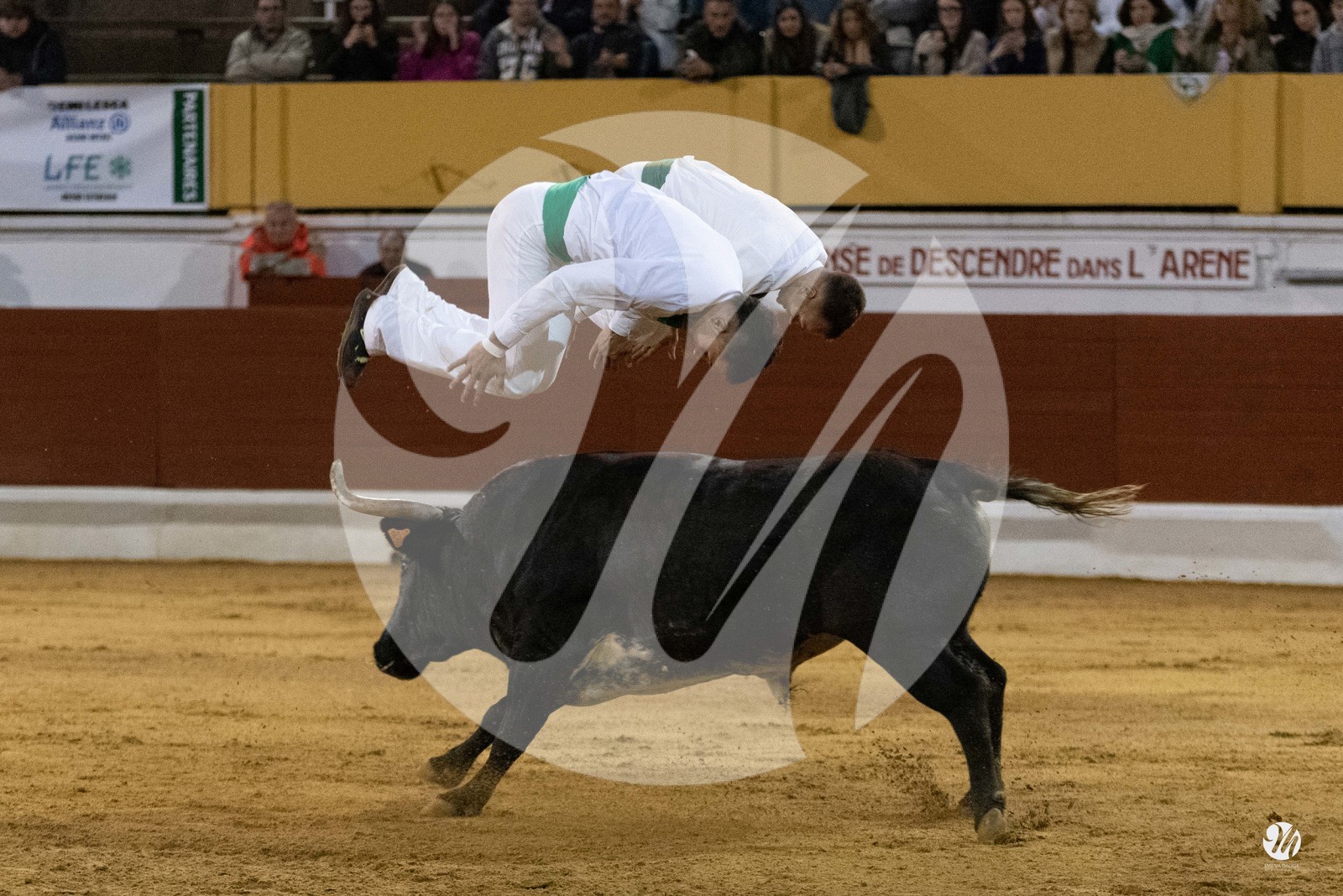 dsc_0493.jpg