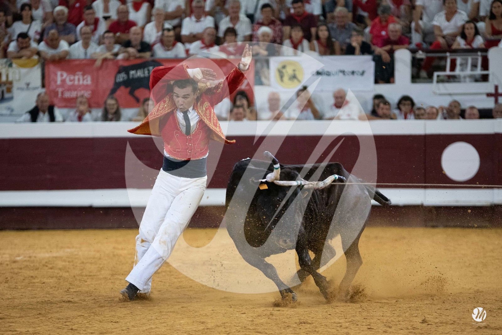 dsc_5677.jpg