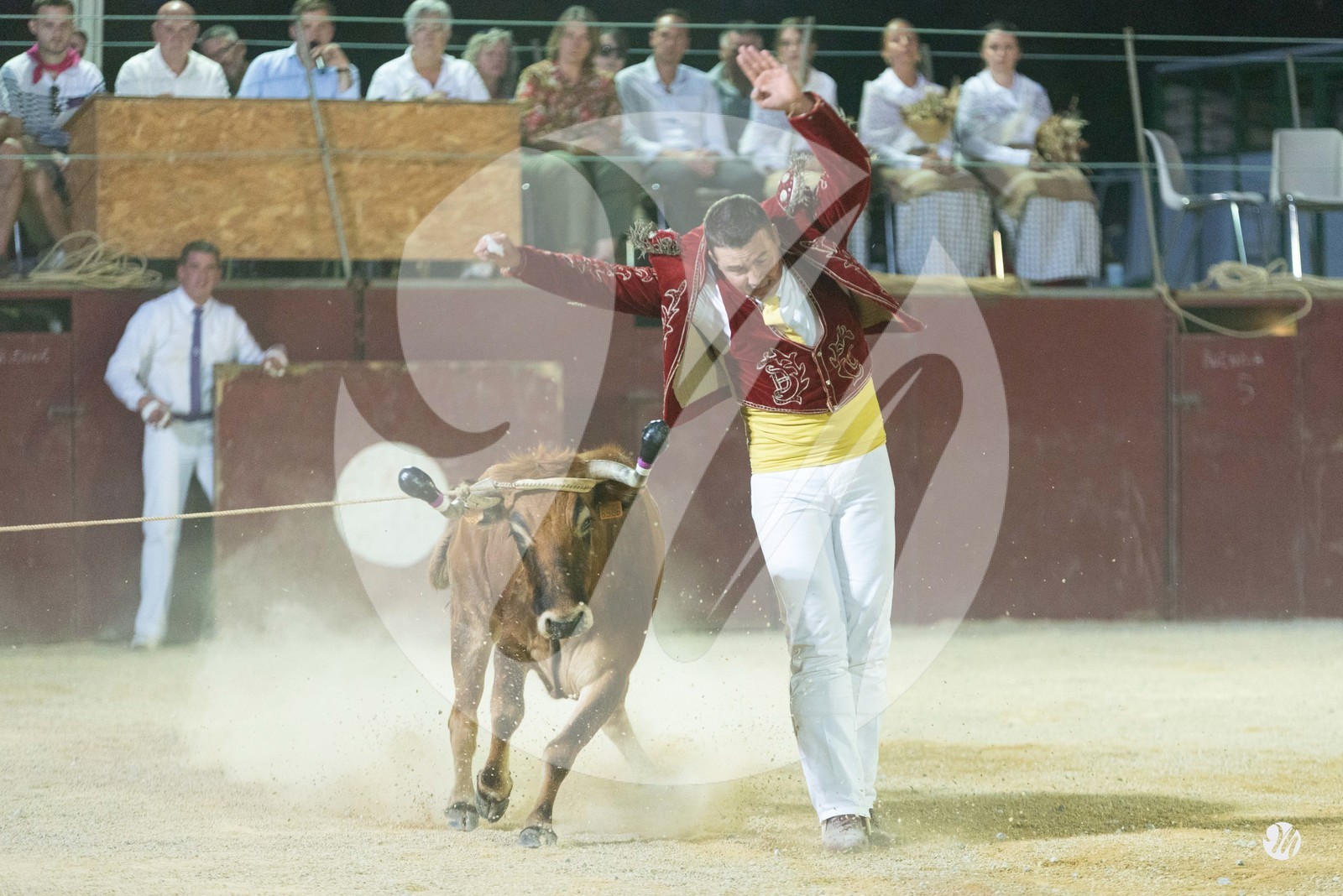 dsc_7373.jpg