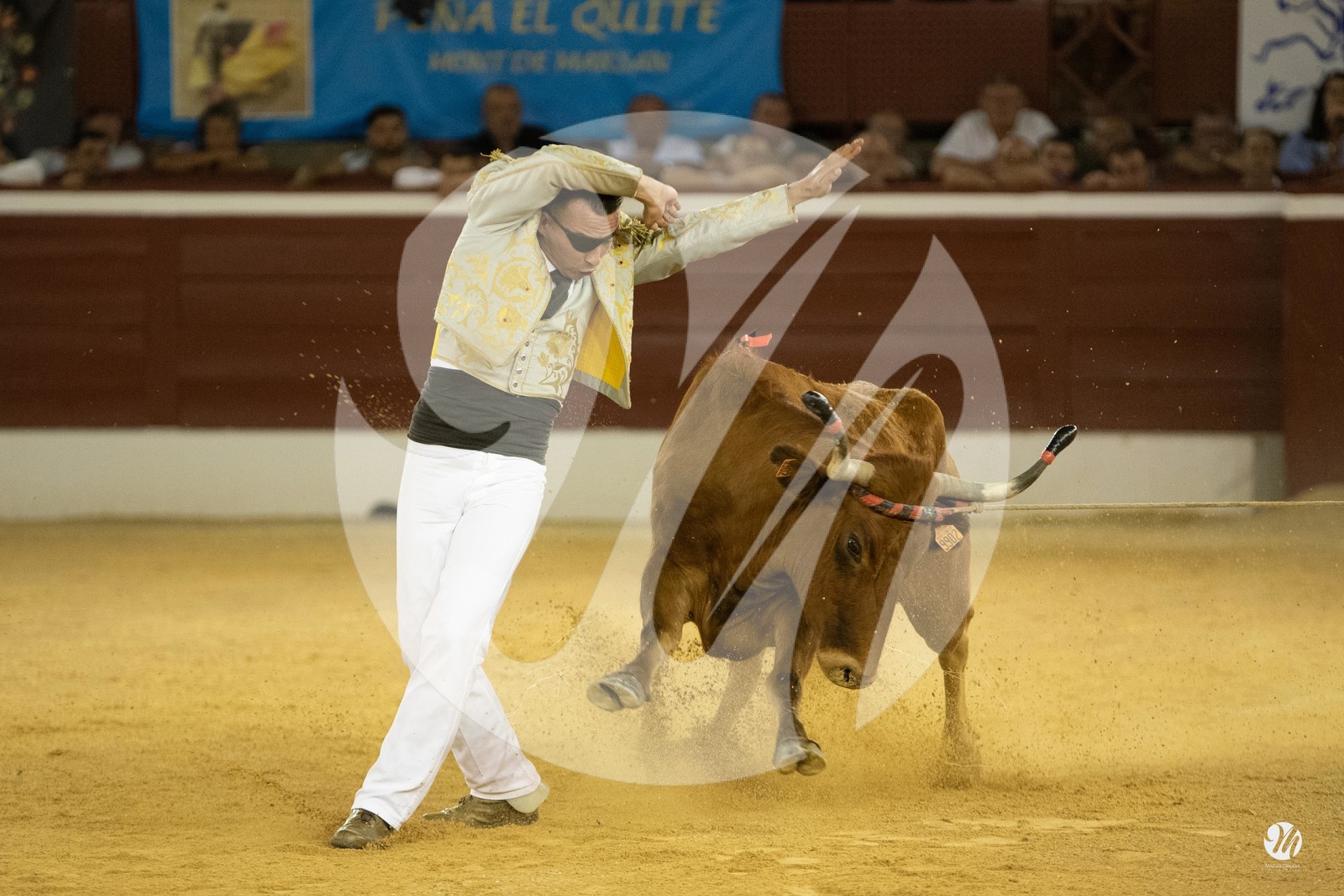 dsc_9831.jpg