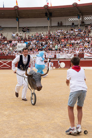 dsc_4944.jpg