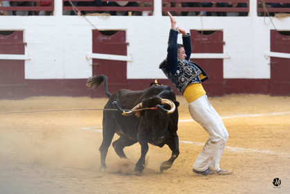 dsc_9312.jpg