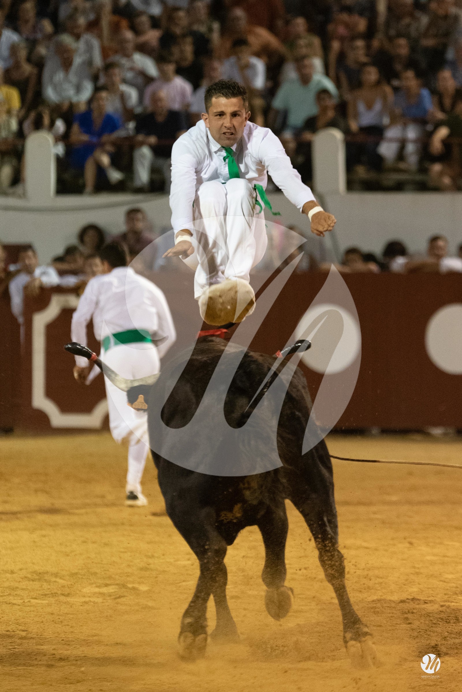 dsc_2745.jpg