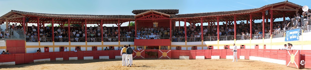 panorama.jpg