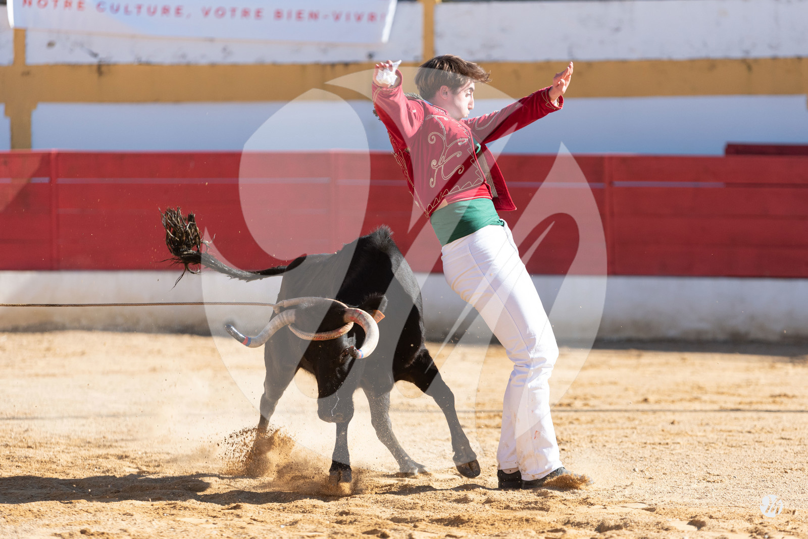 dsc_6752.jpg
