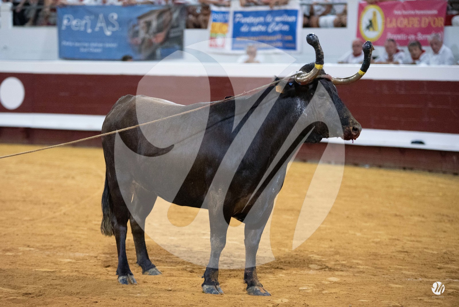 dsc_5750.jpg